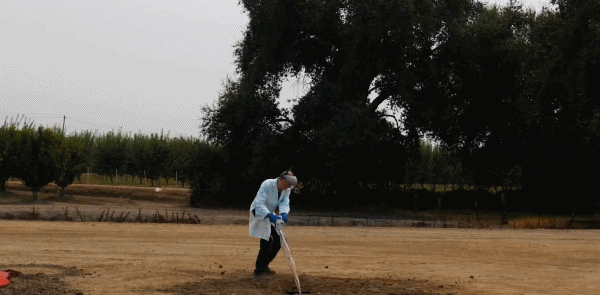 这个用假快递戏耍小偷的男人，和油管撒钱哥搞了个捡垃圾比赛？