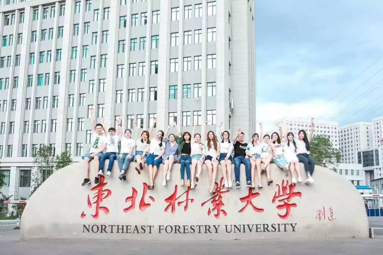 北京林業(yè)大學為林業(yè)大學翹楚，南林第二，東北林大降至第三