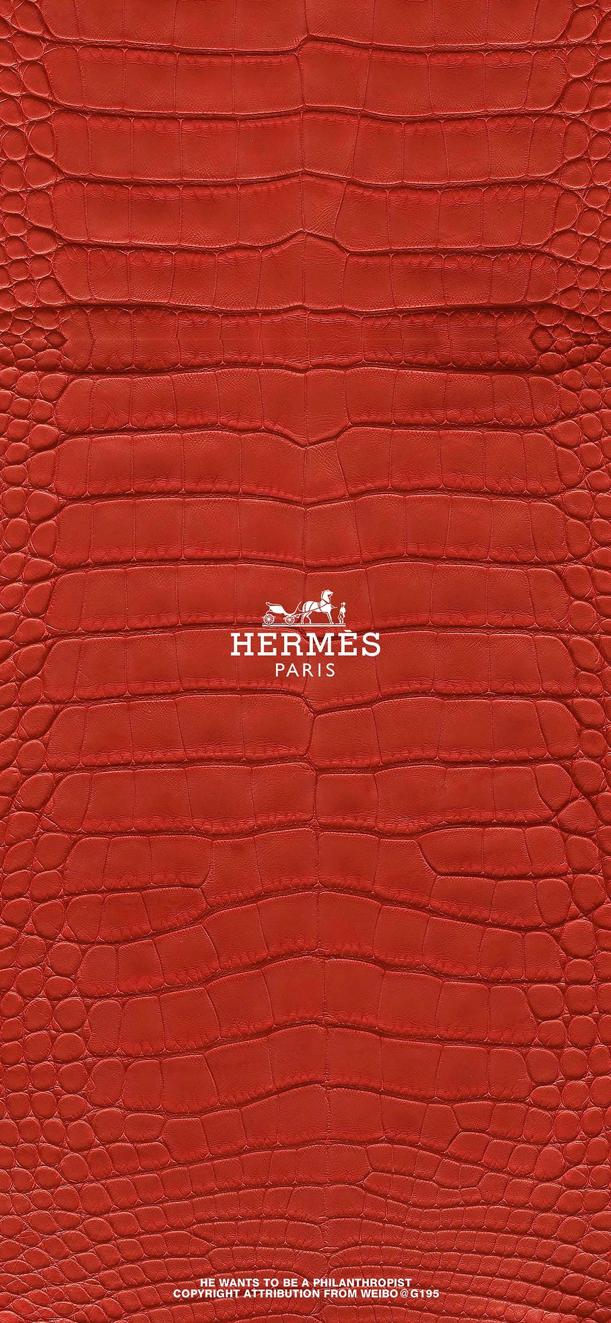 Hermes 壁紙 Pique Nique 1m単位 特別セール品