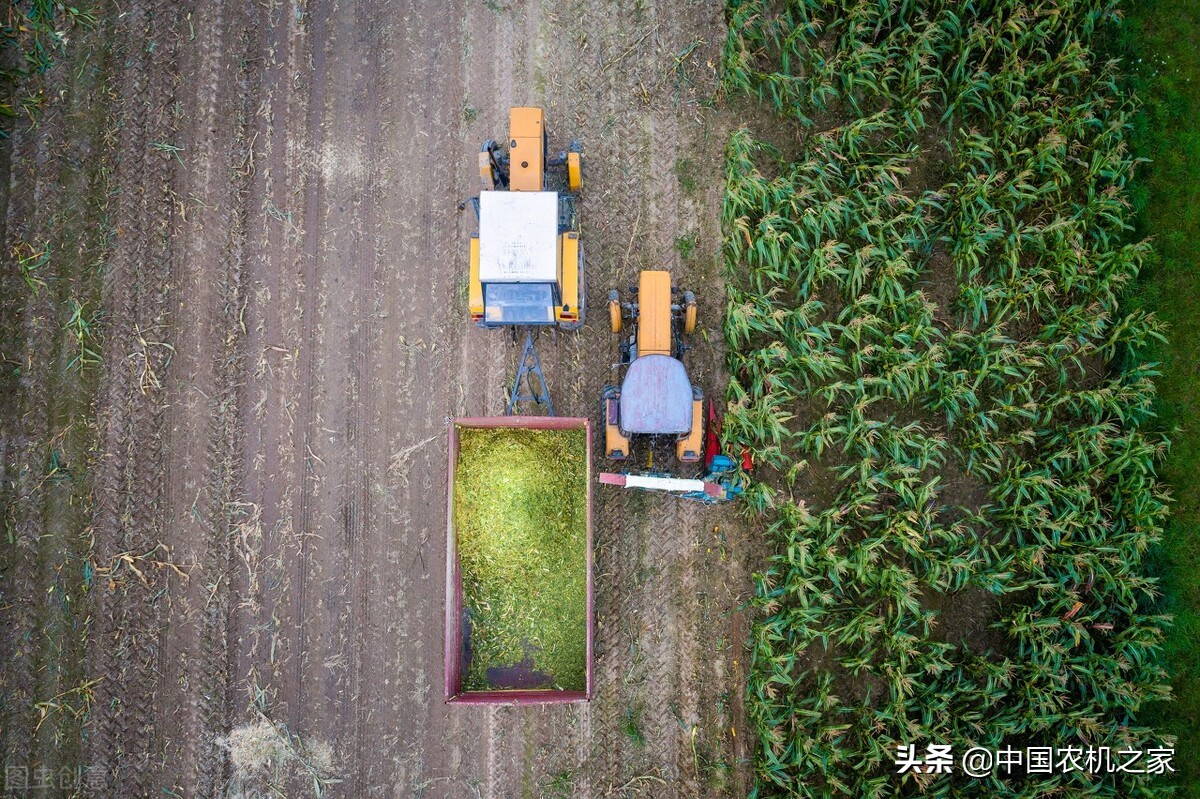 莖穗兼收玉米聯(lián)合收獲機爆發(fā)增長的秘密