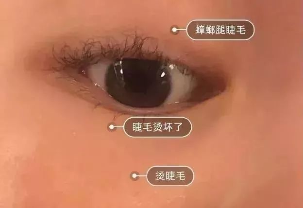 翘睫术是怎么做的（教你一招翘睫术3秒拥有太阳花电眼）