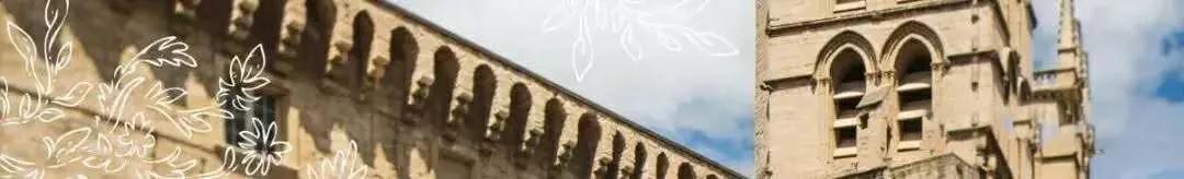 报考Ph.D研究型博士，为什么法国要选择蒙彼利埃大学？