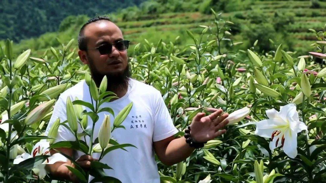 种植络腮胡多少钱(湖南小伙返乡深山创业,种百合花卖大钱,一年卖出160