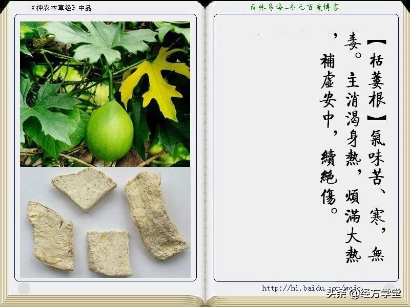 《神农本草经》全册图文解析 建议收藏