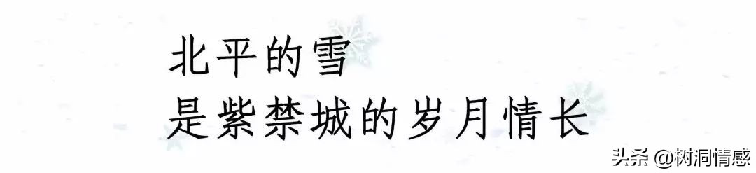 一场雪，一座城，一捧岁月，一段记忆