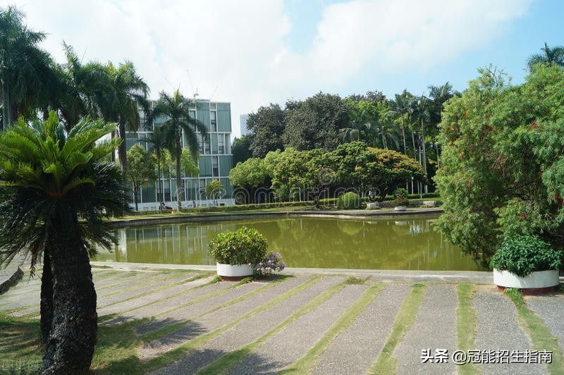 四川职业学校排名前十的学校——四川2021年热搜职业学校