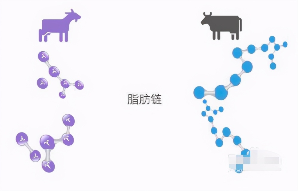 羊奶粉比牛奶粉更有营养？宝妈选奶粉要“擦亮眼”，附选奶粉攻略