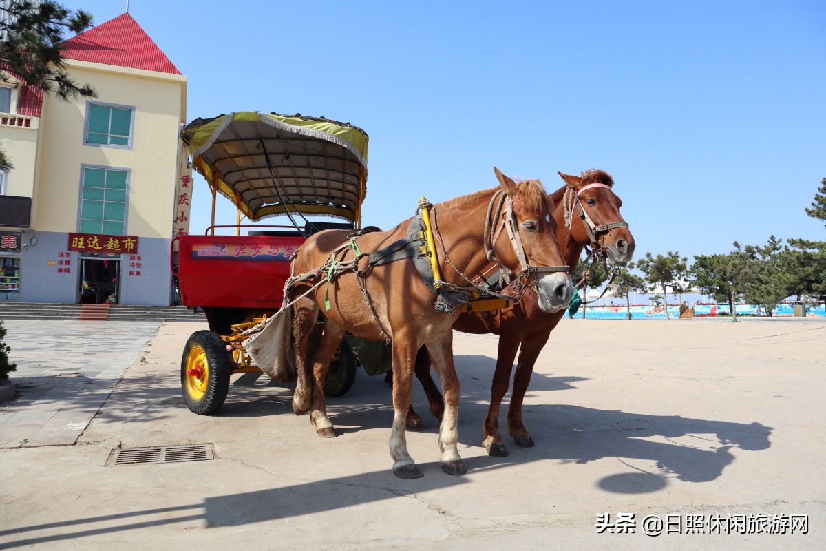 来日照旅游必看的吃住玩攻略（附2019年潮汐表）