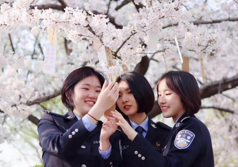 江苏这所“深藏不露”的警校，实力强口碑好，录取分数也不高