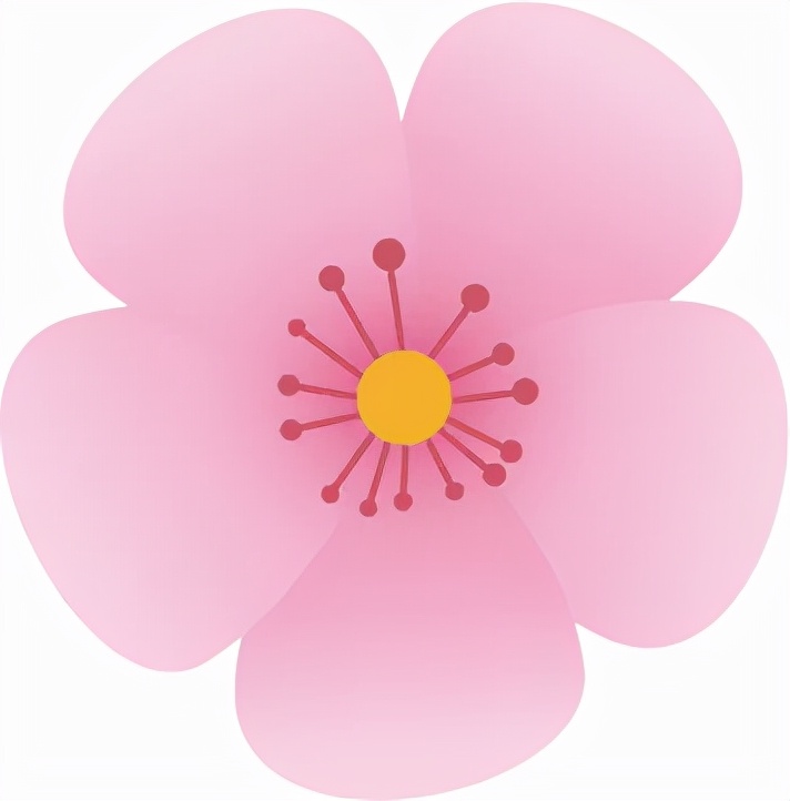 选一个好专业重要，还是选一个好学校重要？这样做，可以兼得