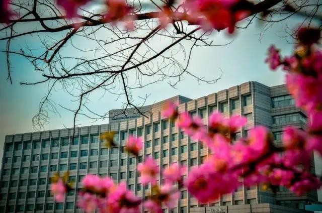 创下无数“中国第一”，硬核助力“大国重器”！这是交通运输部唯一直属高校！