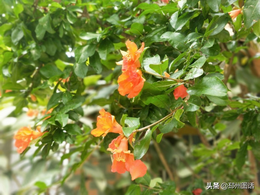 念：是远行归来的舟，风帆上挂着不安的心跳