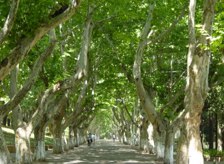 学校的面积可以大到什么程度？坐地铁上课，迟到竟成了家常便饭