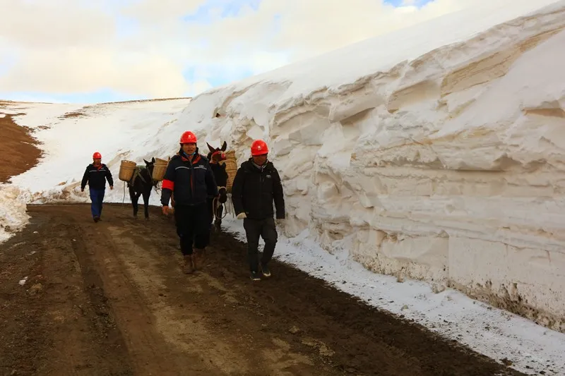 2020高考作文押题（内附最新素材）