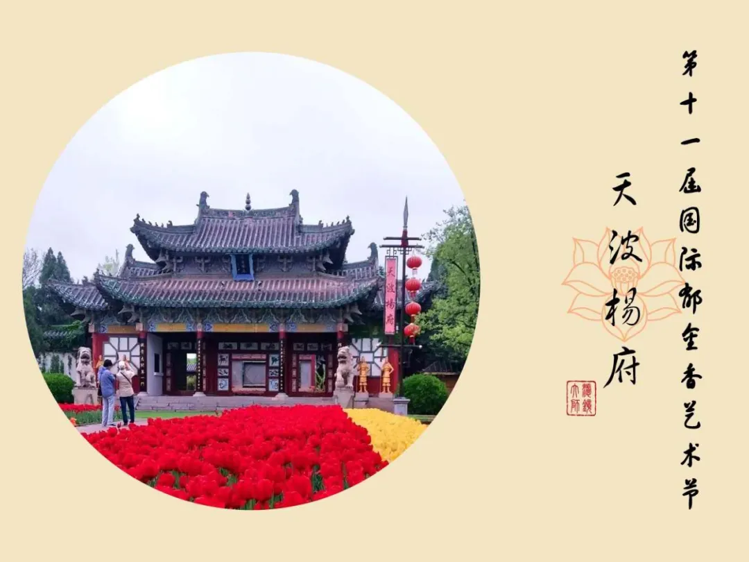 诗词中亭亭玉立的郁金香