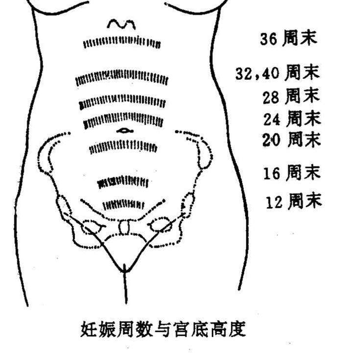 怀孕几天有反应(15个信号暗示你怀孕了)