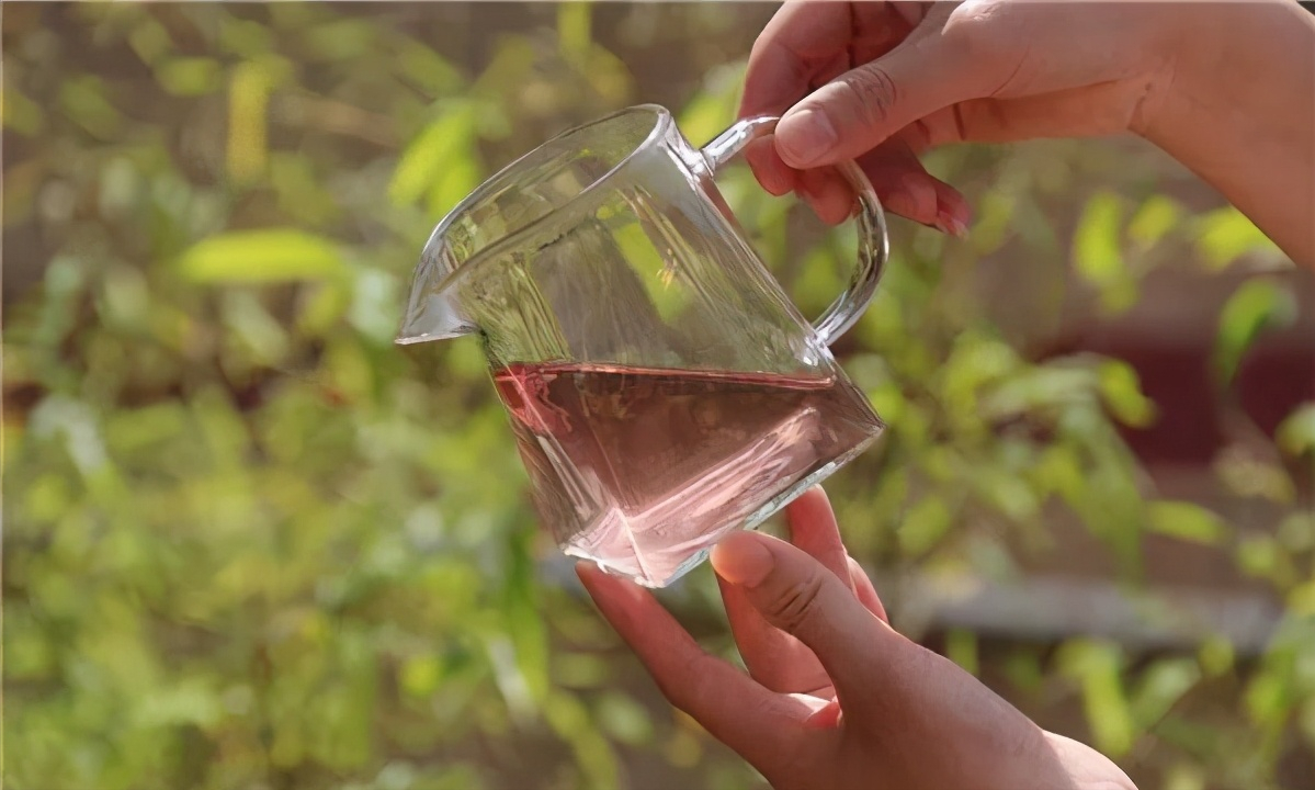 紫色的普洱茶,茶汤也是紫色的,紫娟茶有哪些神奇之处?