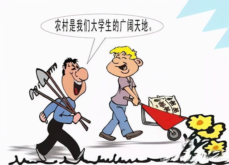 選調生的實際待遇如何？