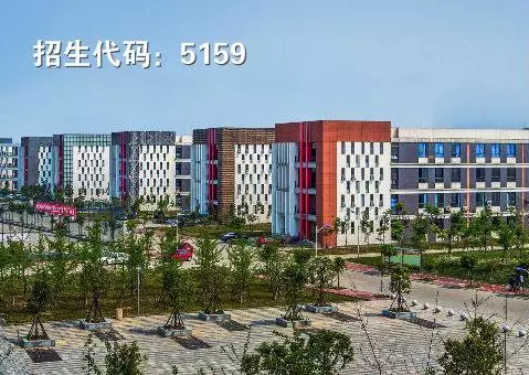 四川2020年高职单招“教育与体育”大类院校