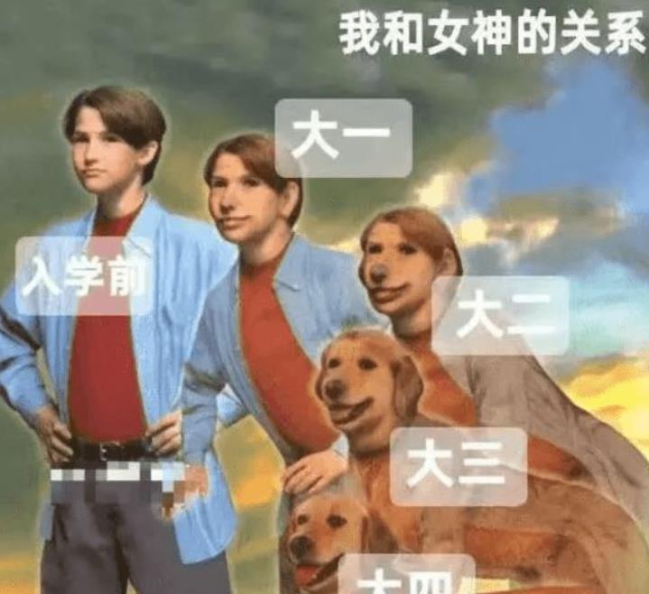 毕业生用梗图吐槽大学生活，堪比一部“退化史”，是我本人没错了