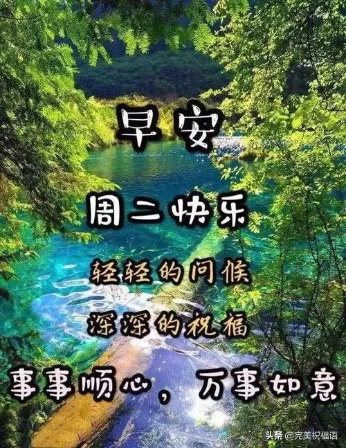 夏蝉叫杨柳飘，夏日风光无限好；轻风闹白云飘，潇洒自在到处跑