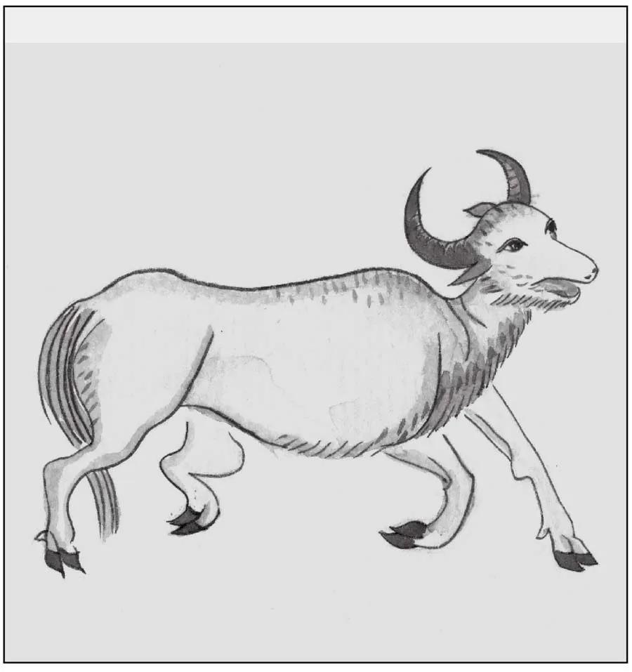 山海经||它叫穷奇,是传说中的恶神.你知道它究竟有多恶吗