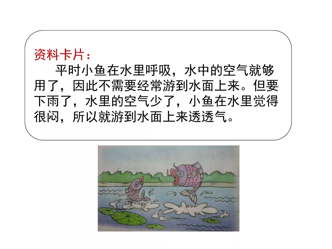 部编版一年级语文下册14课《要下雨了》知识点+图文解读+课堂练习