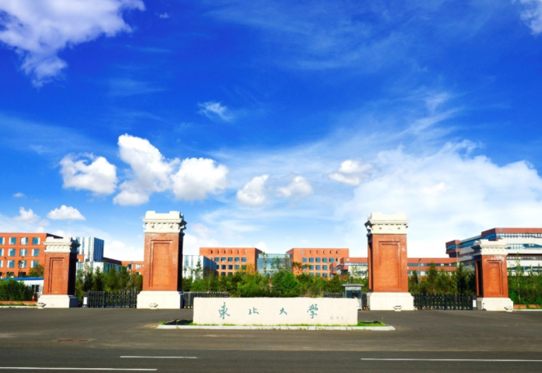 江苏省大学排行榜出炉，南京大学强势亮眼，东南大学紧随其后