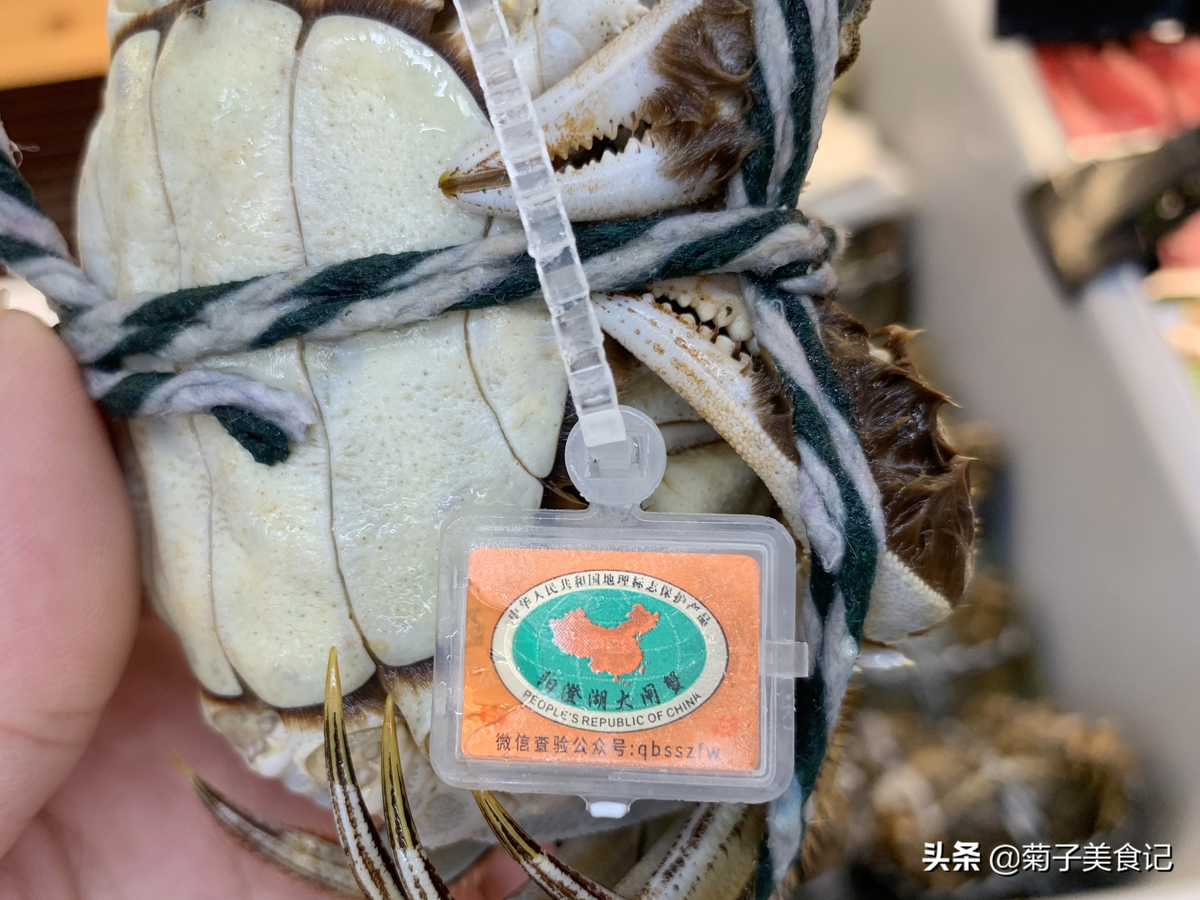 大闸蟹怎么做才能好吃？清蒸只要三步，搭配蘸酱，简单味美又鲜香
