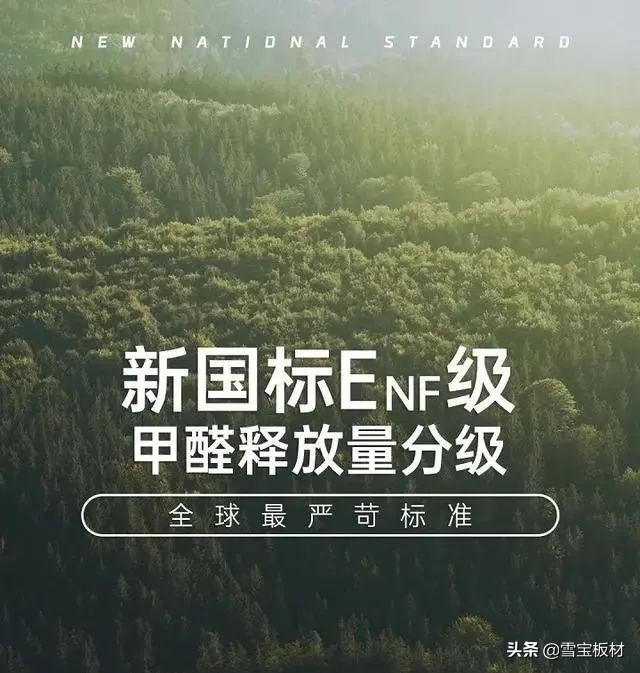 千年舟：安全健康，绿色家选。十年老牌，ENF级板材，放心之选！