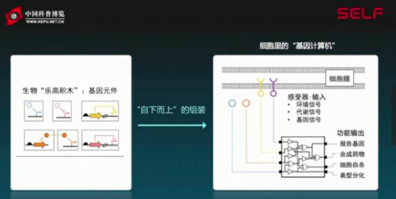 塑料已进入人类体内，塑料的降解大概需要300年……