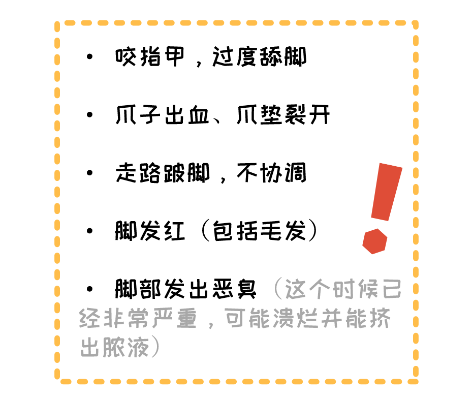 怎么让狗狗变硬（狗狗伤口变硬怎么回事）-第7张图片-科灵网