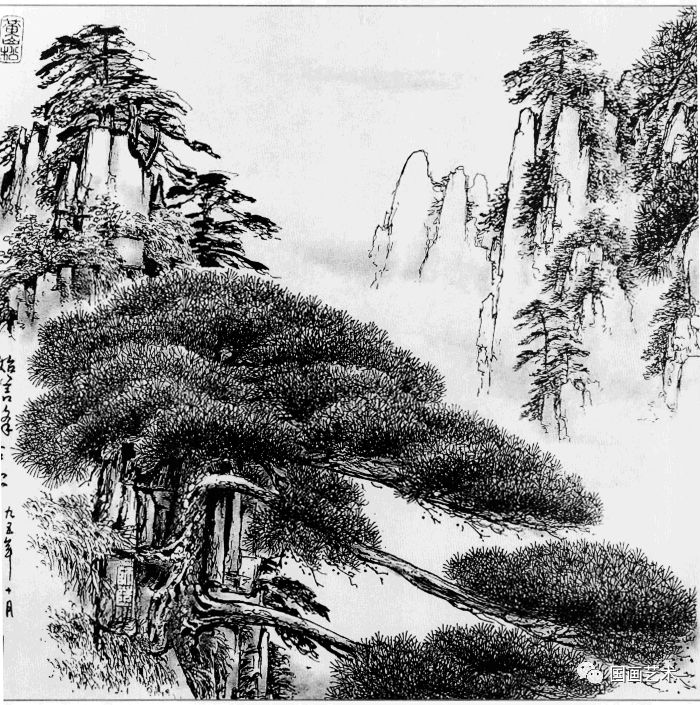描写松树的段落,描写松树的优美句子摘抄