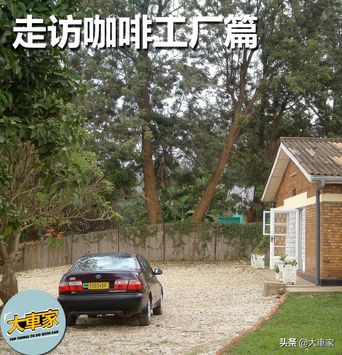 世界二手车探秘，非洲GOLF GTI