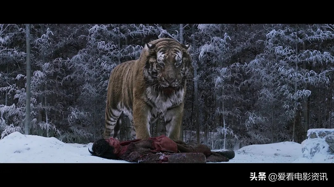 百因必有果，虎王与猎人的恩怨纠葛，韩剧《大虎》结局令人心寒