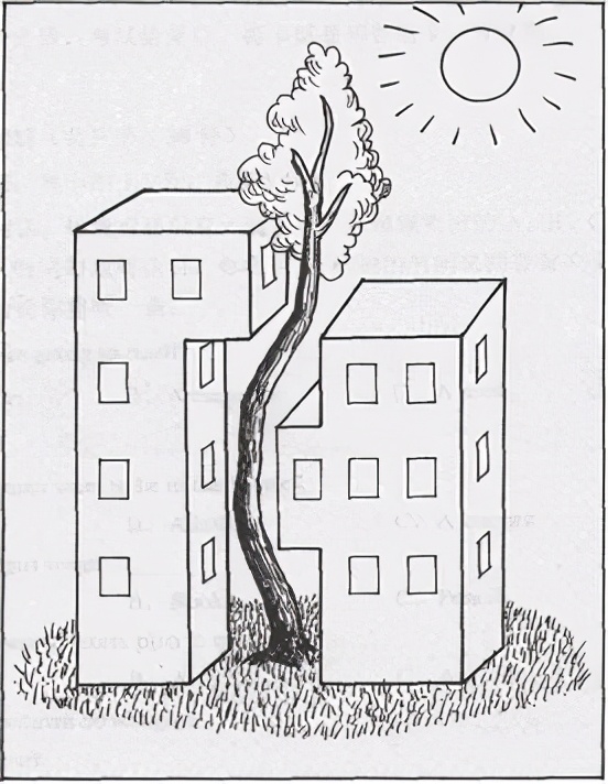 高考英语：议论文常用句型及满分模板。不提分，可以来骂我