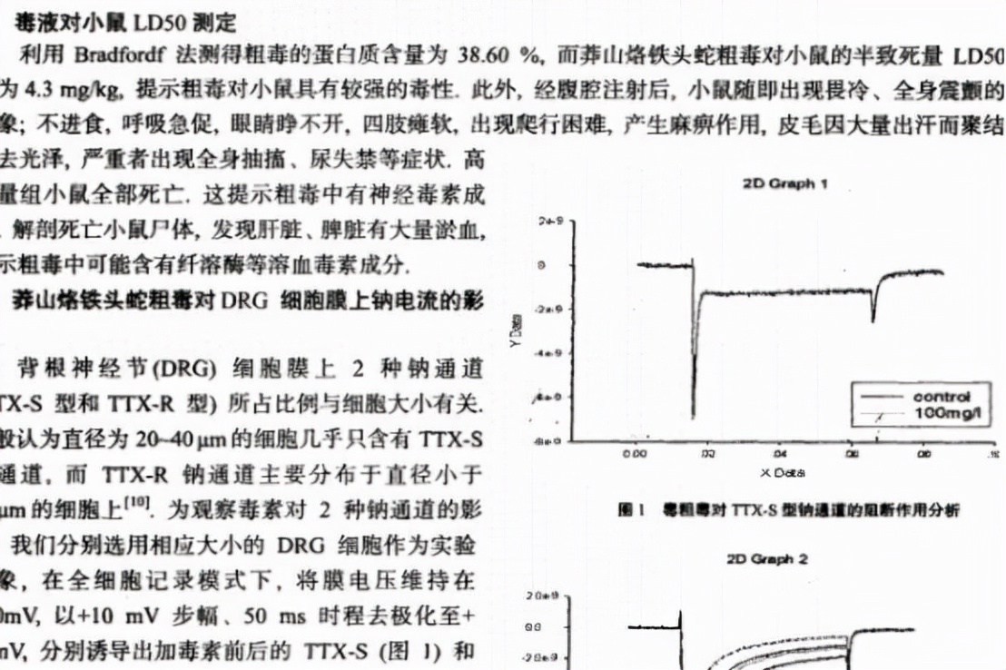 莽山烙铁头称世界上最贵的毒蛇，究竟是为什么一条价值上百万？