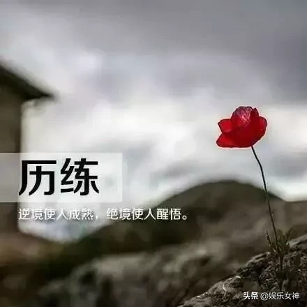 从来不跌倒不算光彩，每次跌倒后能再站起来，才是最大的荣耀