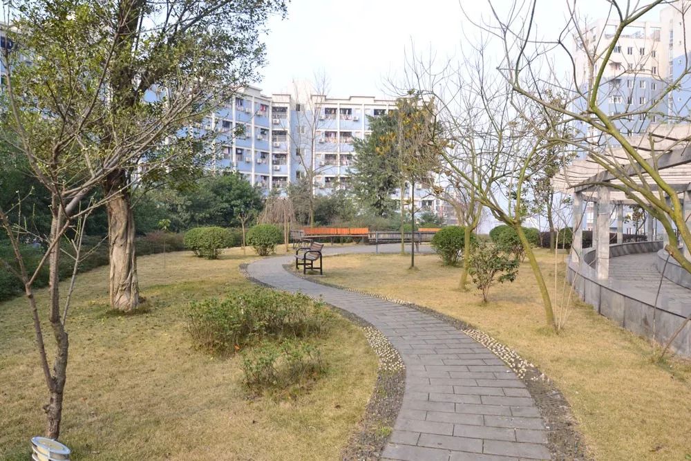 名校一点通——八中各分校，一次性让你了解更透彻