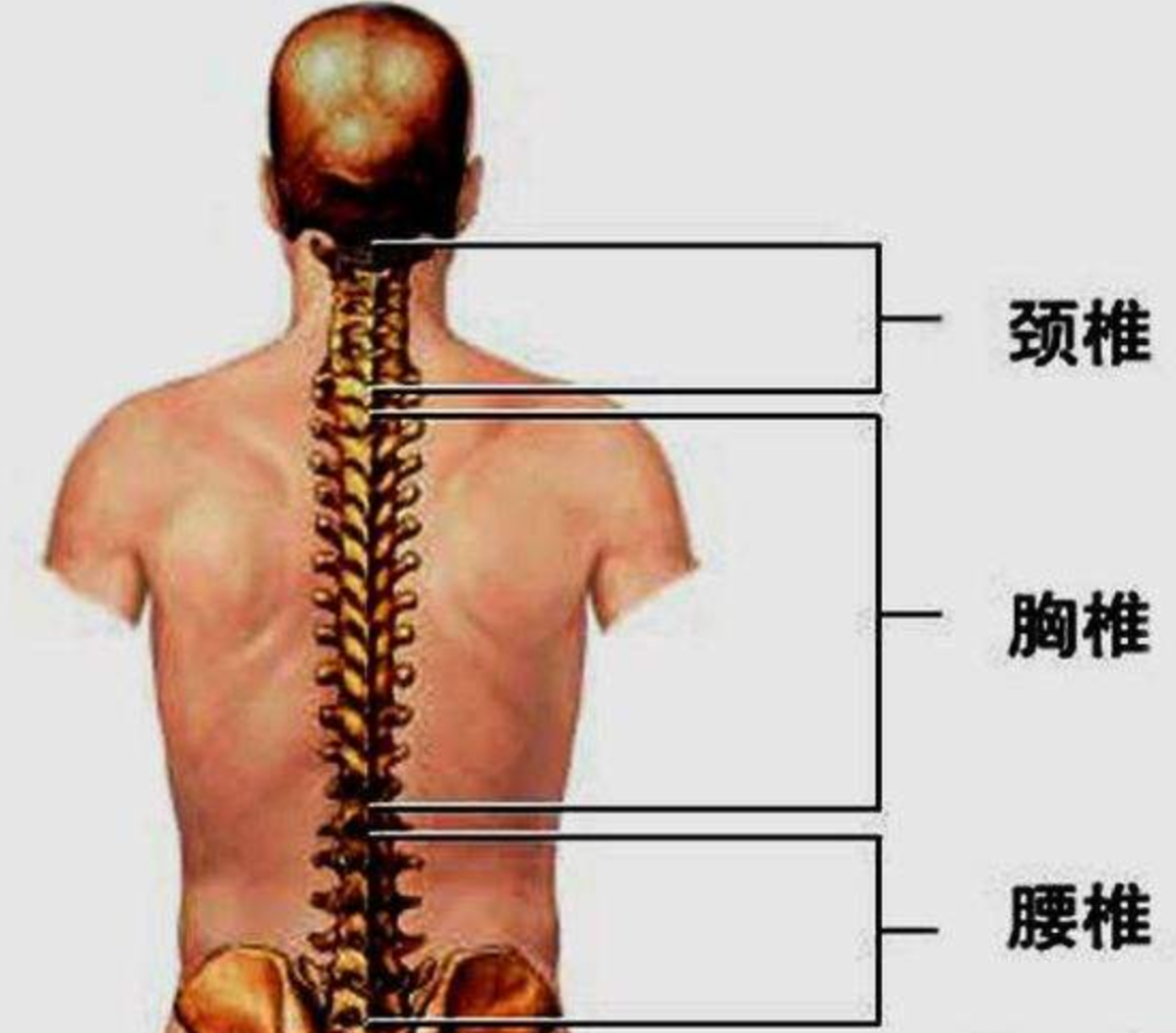 打排球胳膊疼怎么办(一招缓解打球肩膀疼，用了都说好！)