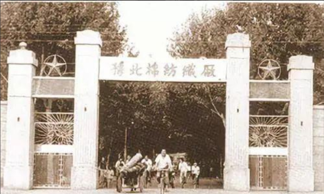 1982年，安阳纱厂医院院花离奇失踪，病人主动扫厕所暴露藏尸点