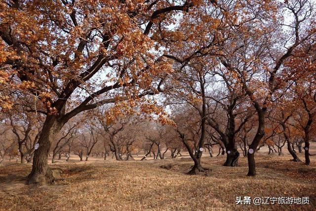 沈阳有哪些可以爬山，一日游的地方？这三座山都值得一去