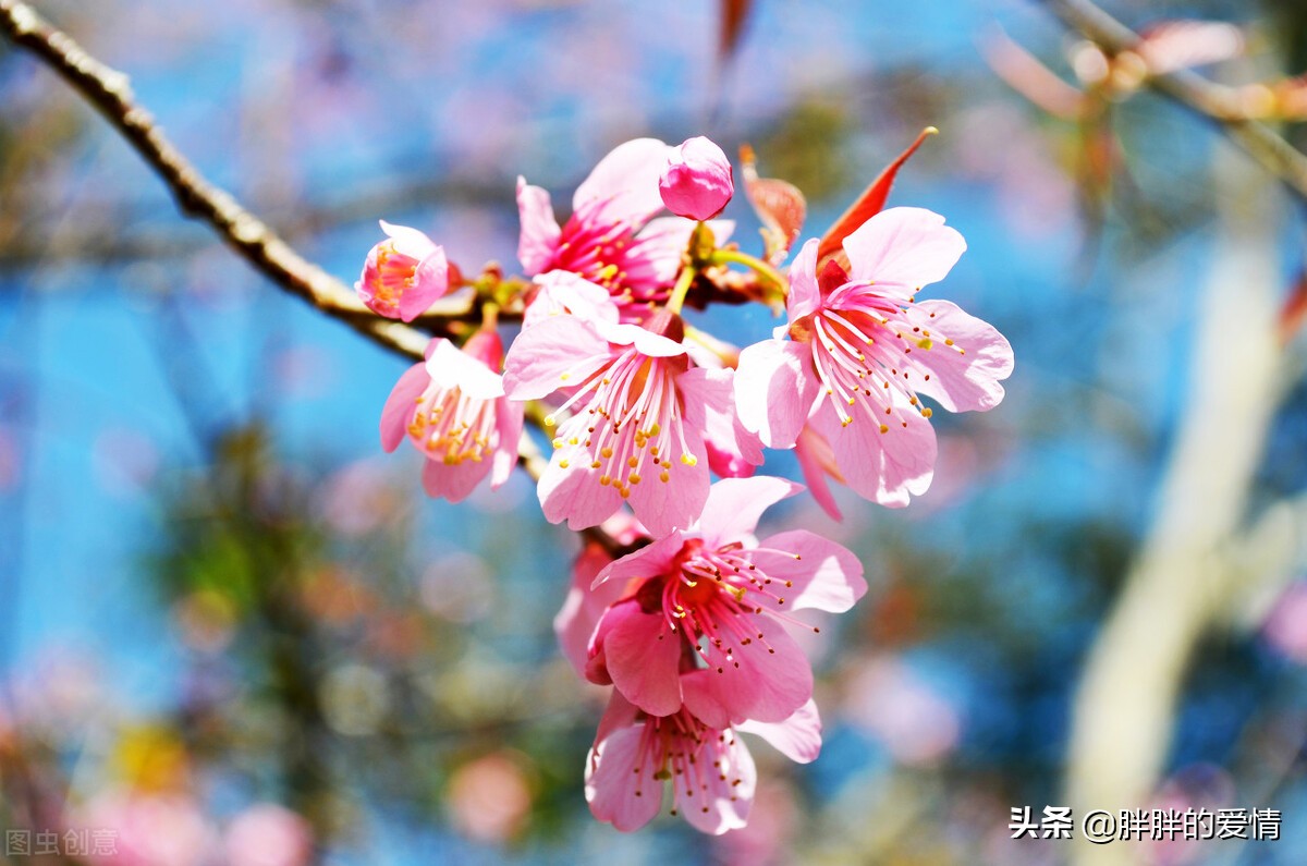 人在旅途，感悟人生，享受人生；风华一指流沙，苍老一段年华