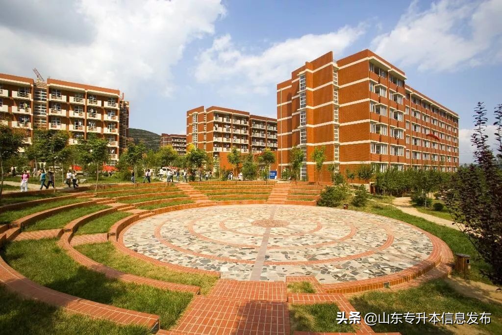 山东专升本各专业对应招考院校分析---计算机科学与技术