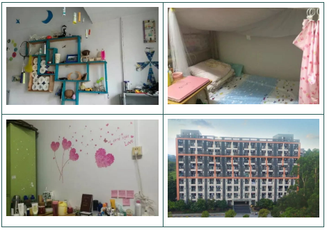 高职高考必看｜全面了解广东岭南职业技术学院