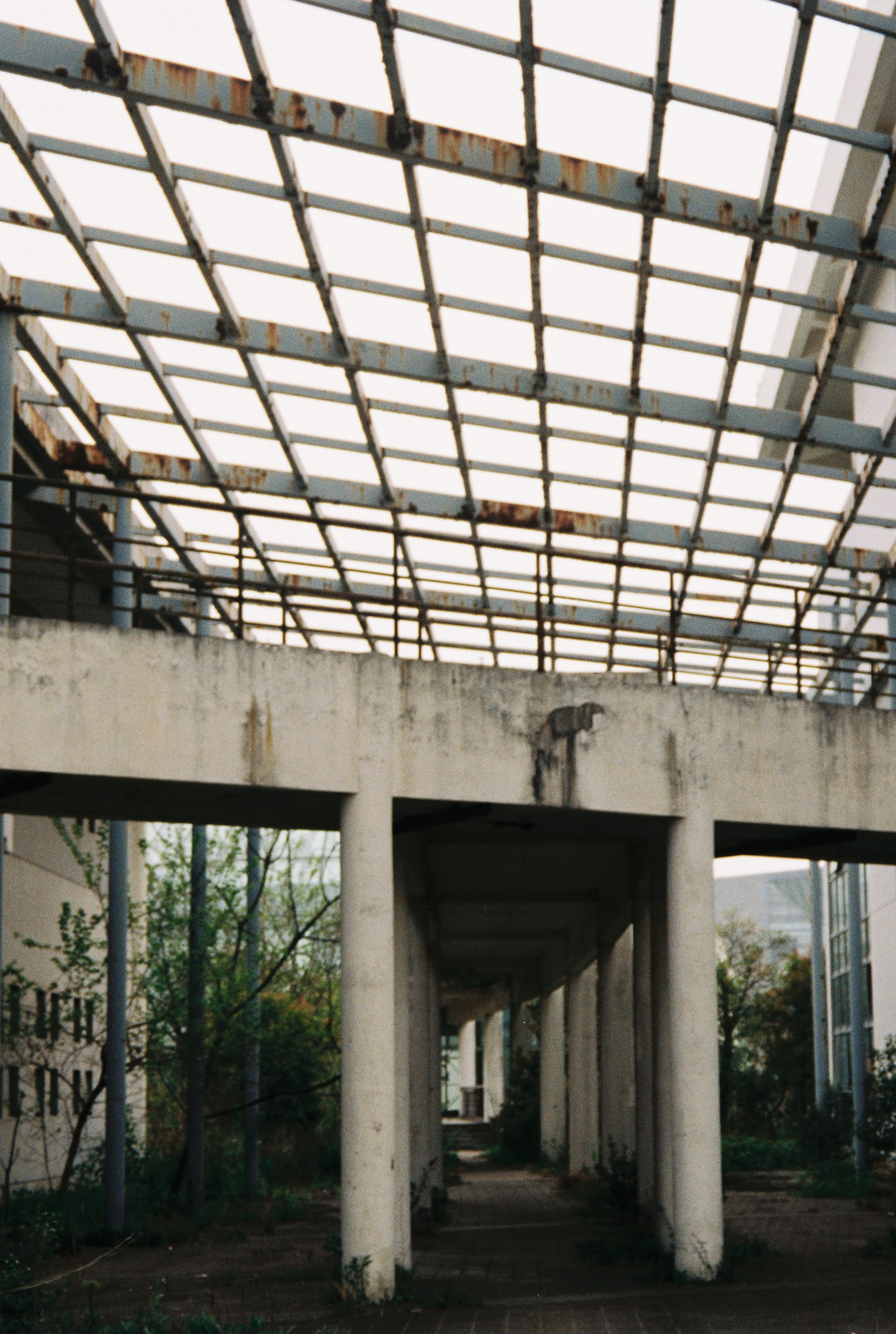 上海味道 |消逝的复旦大学太平洋金融学院