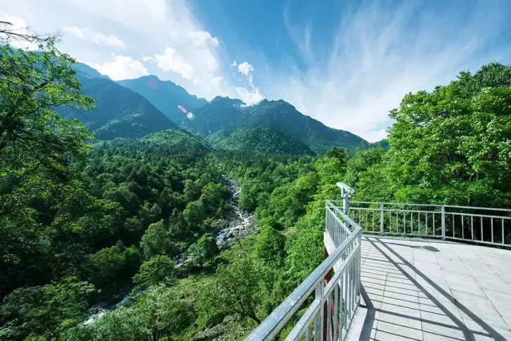 清明去哪儿？成都出发9条线路，踏青赏花逛古镇，采茶逗鹿看石刻