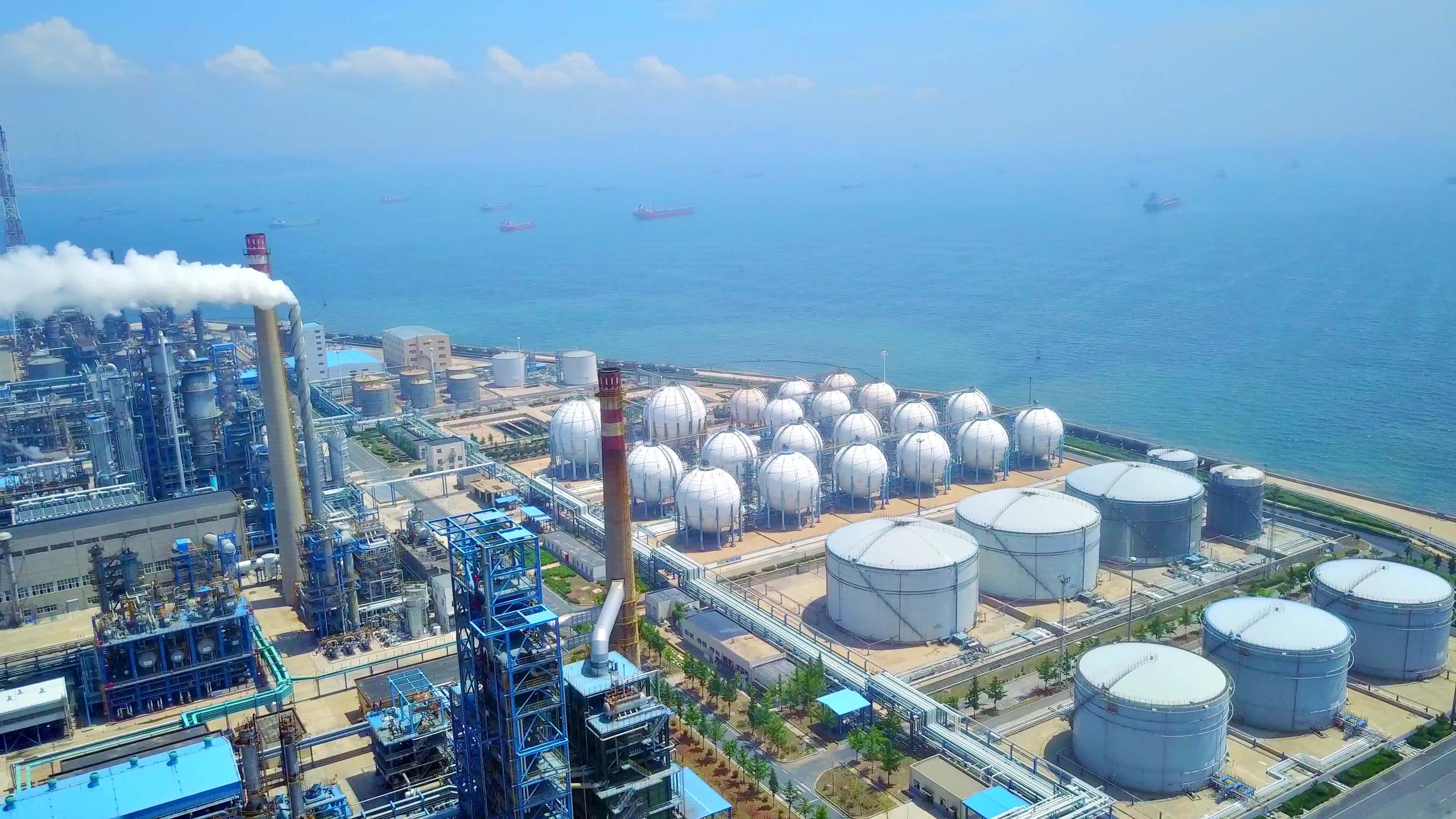 蓖麻子的功效与作用 蓖麻子萝卜缨子搓去火吗-百科叔叔