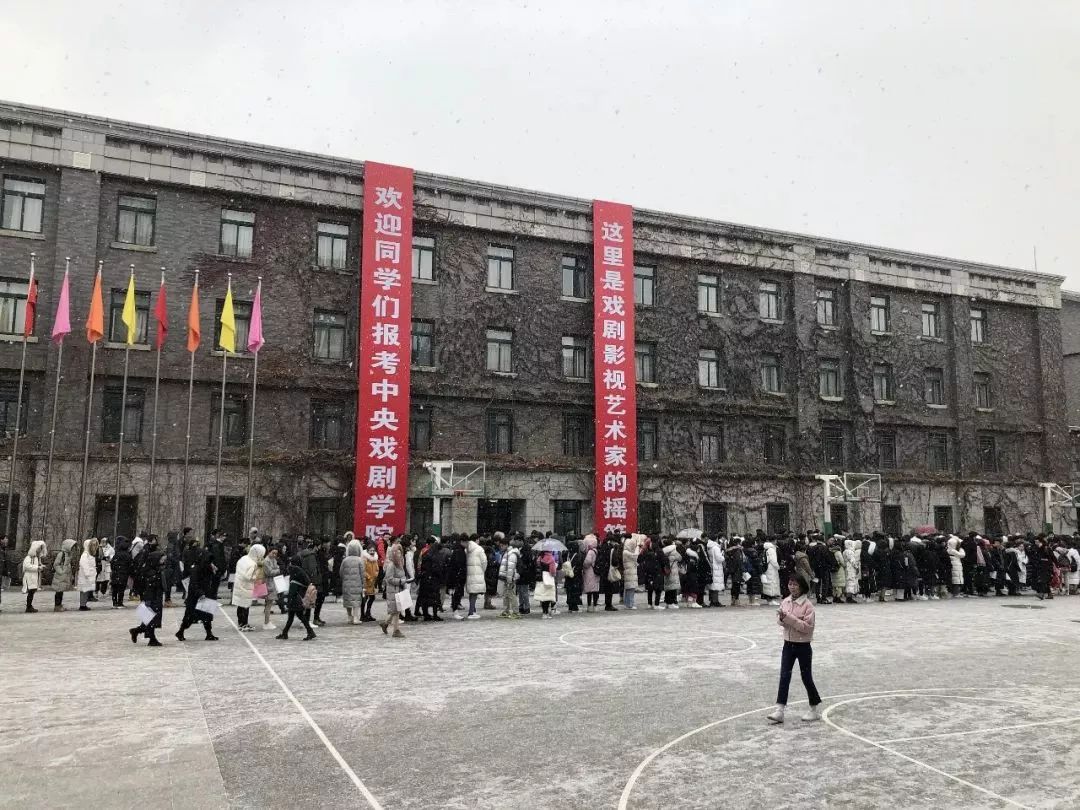 文化素质要求提升，艺考不再是考学捷径？丨Mr.Data