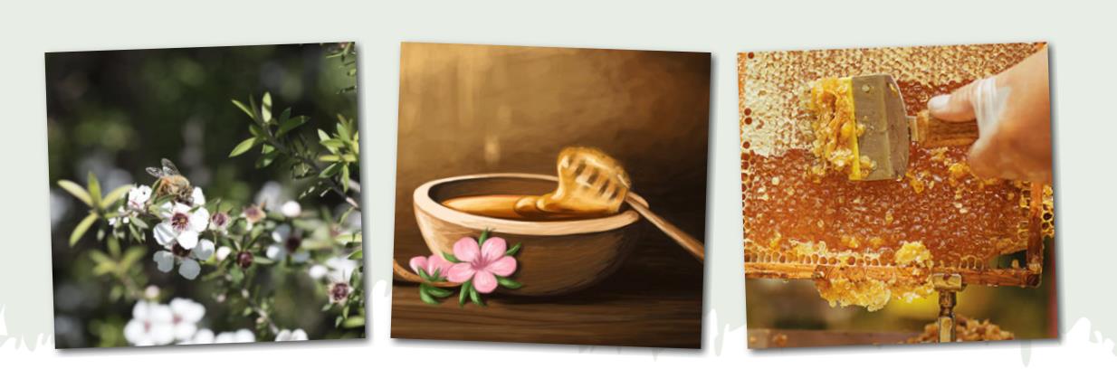 进口蜂蜜哪个牌子好（进口蜂蜜品牌选购指南）